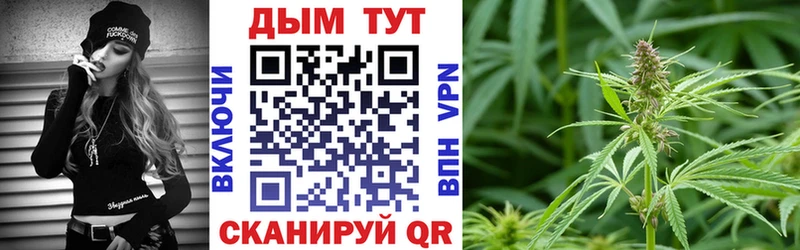 Магазины продажи наркотиков Кондрово Псилоцибиновые грибы  СК  ГАШ  АМФ  Меф мяу мяу  МАРИХУАНА 