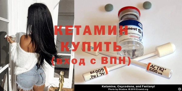 прущие грибы Киреевск