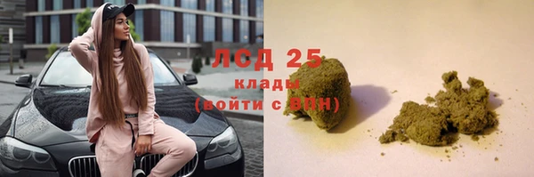 прущие грибы Киреевск