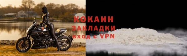 гашик Касимов