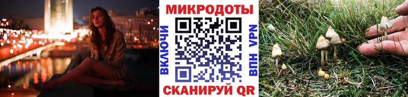 МЕГА tor Кондрово Галлюциногенные грибы Psilocybine cubensis